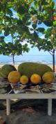 Mananambal Beach Huts - Hut 2