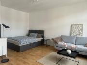 Neue und schicke Wohnung in Leipzig Stötteritz