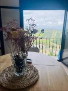 Charming in Vejer Beautiful view - old town