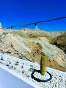 Top Puerto Rico de Gran Canaria