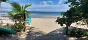 Top Laiya