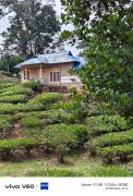 Top Vagamon