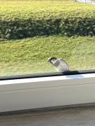 HaRe Ferienwohnungen