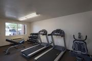 Top Carlsbad
