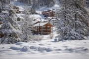 Top Pontresina