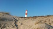 Top Borkum