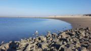 Top Borkum