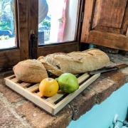 El sueño del Viajero