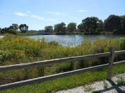 Top Libertyville