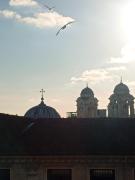 Top Istanbul
