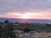Top Custonaci