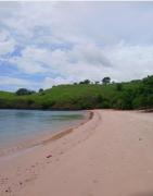Homestay Komodo Paradise