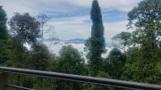 Top Darjeeling