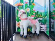 Top Ban Chong Phli