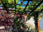 Jezera Zentrum, ganzes Haus für traumhaften Urlaub