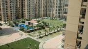 Top Noida