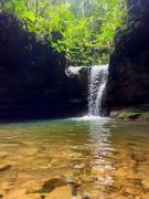 Top Huamboya