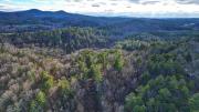 Top Ellijay