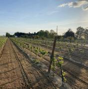 Top Quinta de Santa Marta