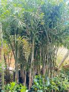 Top Kuilapayam
