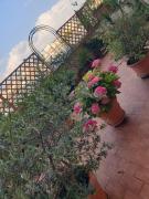 Top Florence