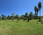 Top Castellare-di-Casinca