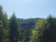 Top Zakopane