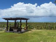 Top São Miguel dos Milagres