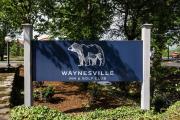 Top Waynesville