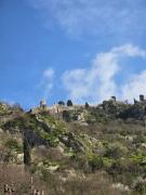 Top Kotor