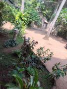 Top Calangute