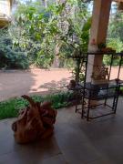 Top Calangute
