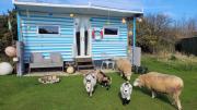 Treguth Glamping Unique Experience - Themed Huts