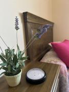 Top San Martín de Valdeiglesias