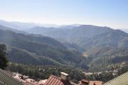 Top Shimla