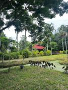 Top Ban Muang Wa