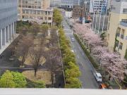 品川区山手線大崎駅徒歩5分 快適で贅沢理想的なゲストルーム