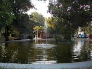 Top Kalamata