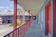 Top Brownsville