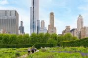 Top Chicago