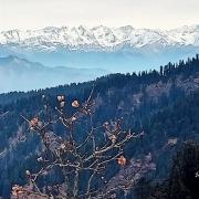 Top Matiāna
