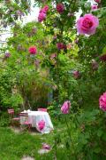 Top Libourne