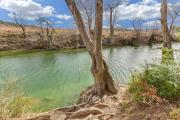 Top Wimberley