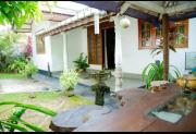 Green Shadow Inn