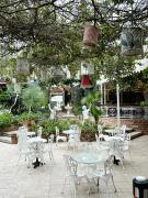 Top Tunis