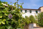 Top Pescia