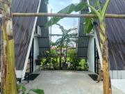 Top Sunggal