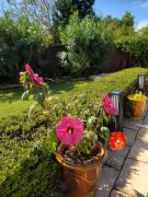 Top Arpaillargues-et-Aureillac