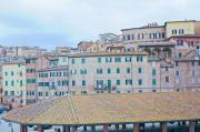 Top Siena