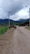 Top Oxapampa